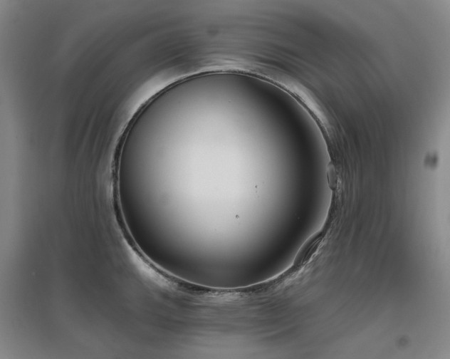 X0000097471143200802221230