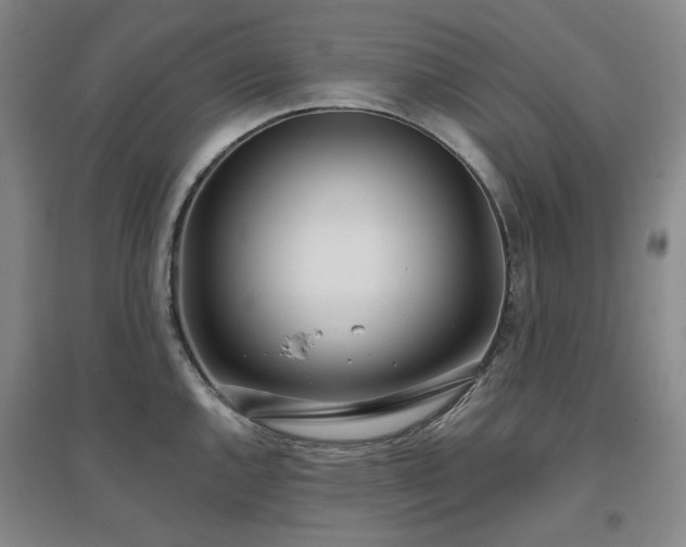 X0000097471144200802221230