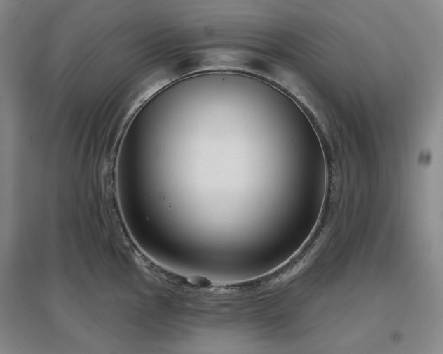 X0000097471145200802221230