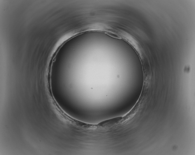X0000097471146200802221230