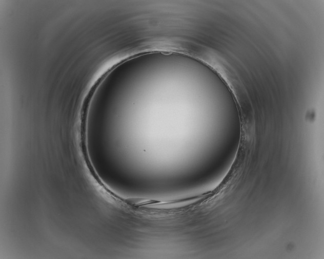 X0000097471147200802221230