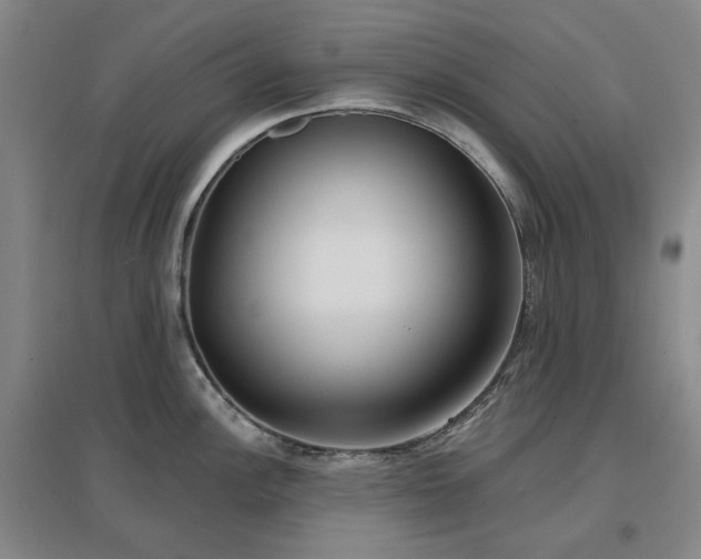 X0000097471148200802221230