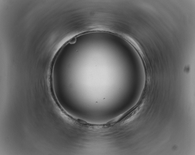 X0000097471149200802221230