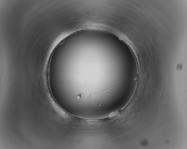 X0000097471152200802221230