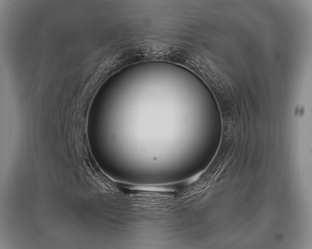 X0000097471153200802221229