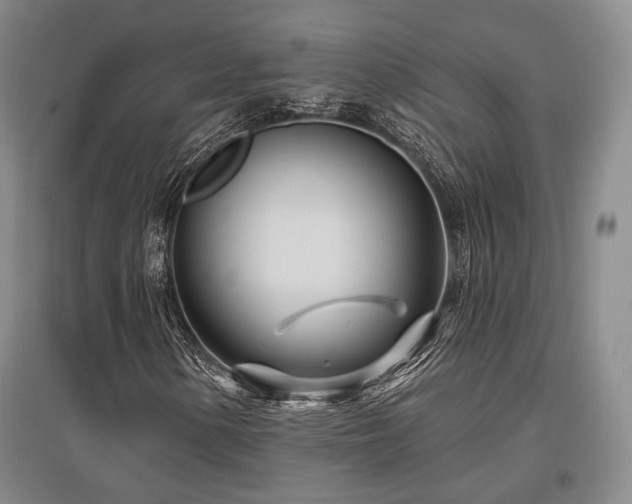 X0000097471154200802221229