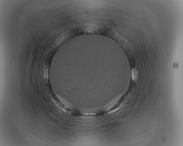 X0000097471155200802221229