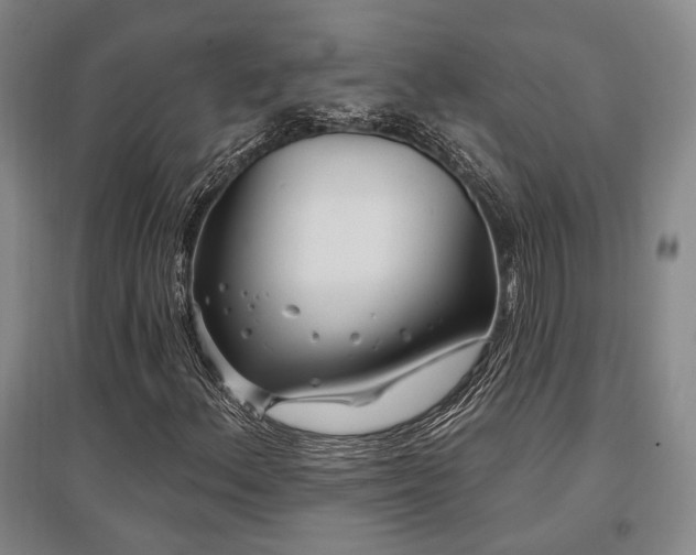 X0000097471156200802221229
