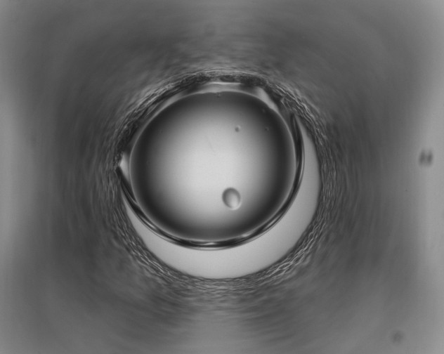 X0000097471157200802221229