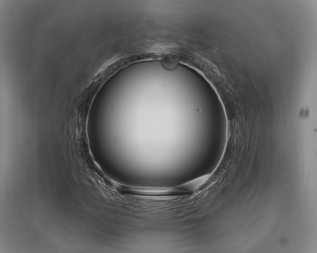 X0000097471158200802221229
