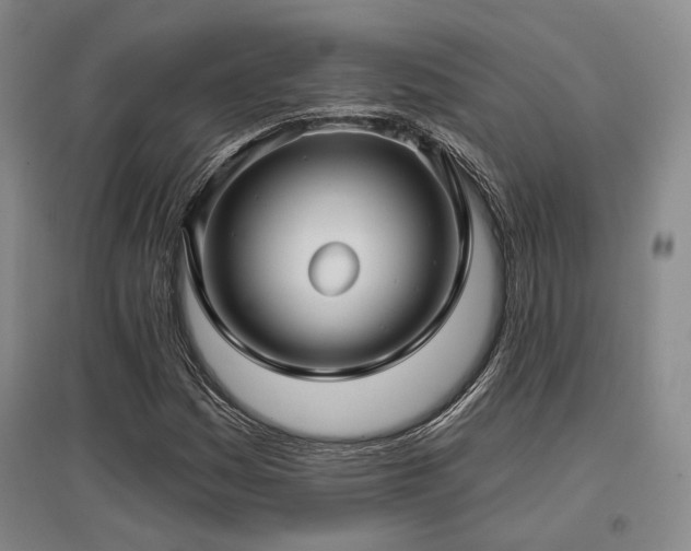 X0000097471161200802221229