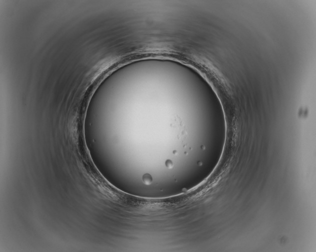 X0000097471162200802221229