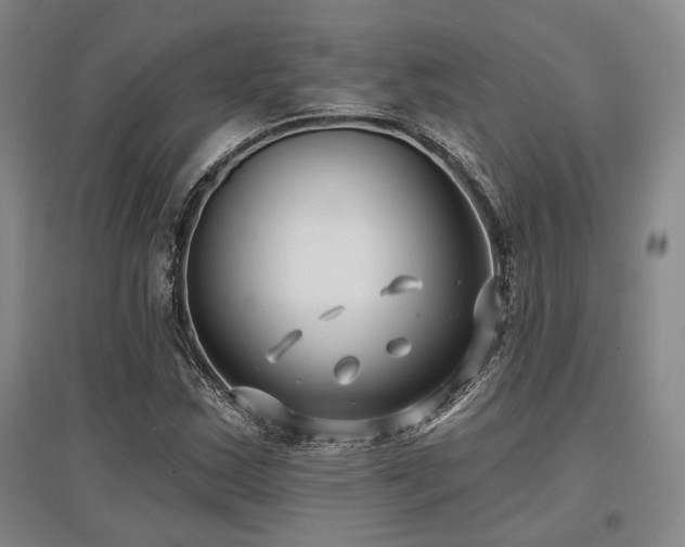 X0000097471163200802221229
