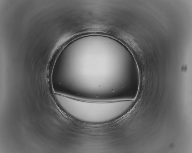 X0000097471164200802221229