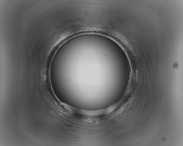 X0000097471165200802221229