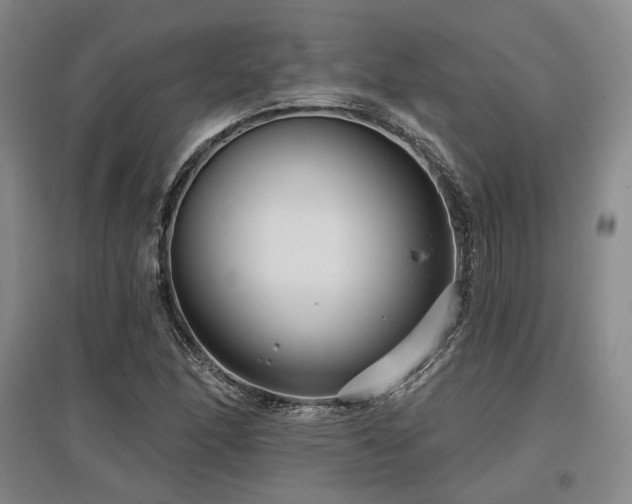 X0000097471166200802221229