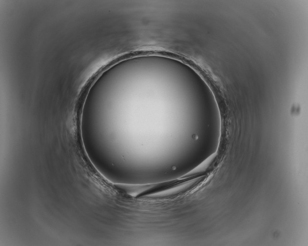 X0000097471167200802221229