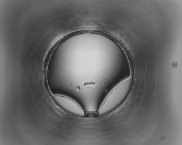 X0000097471168200802221229