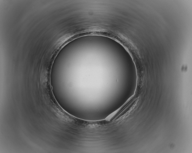 X0000097471169200802221229