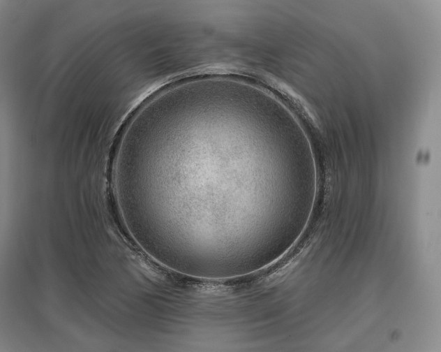 X0000097471170200802221229