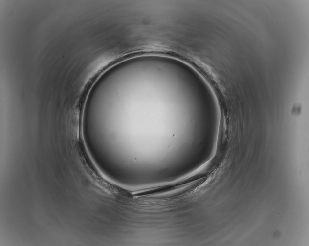 X0000097471171200802221229