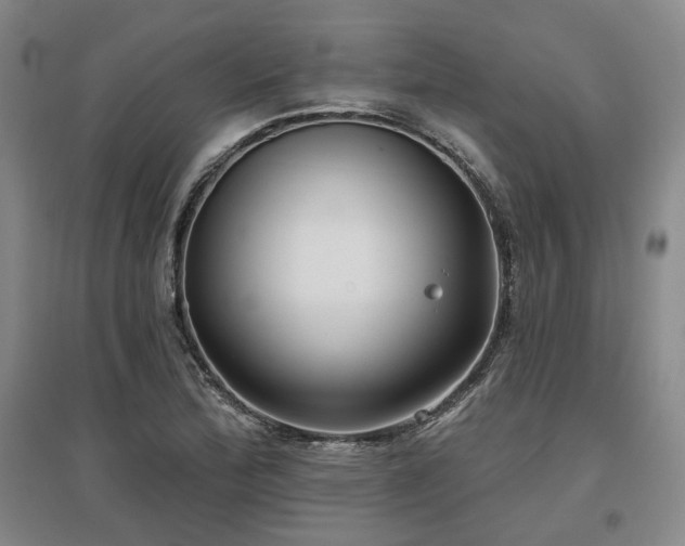 X0000097471172200802221229
