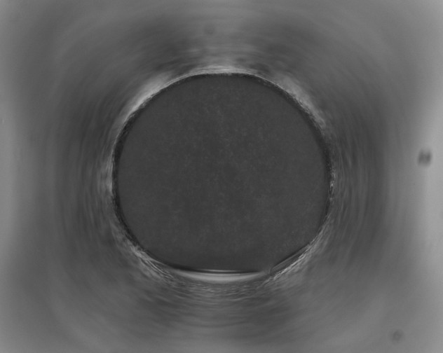 X0000097471173200802221229
