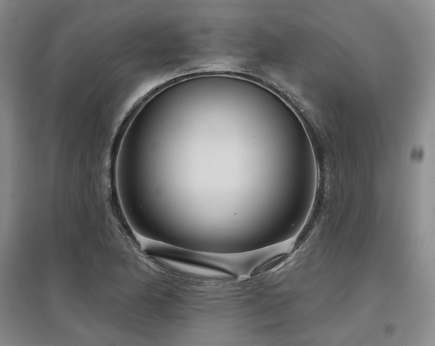 X0000097471174200802221229