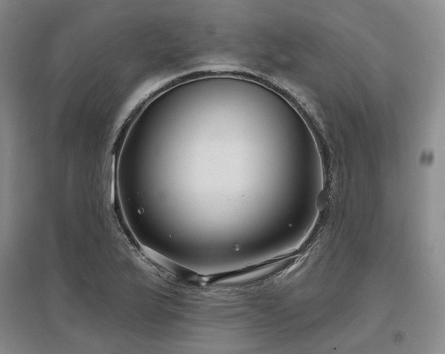 X0000097471175200802221229