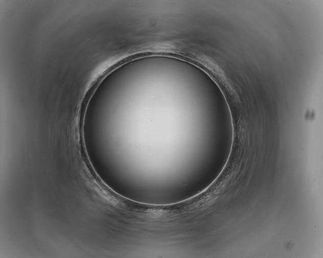 X0000097471176200802221229