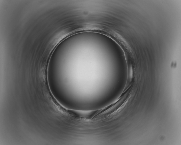 X0000097471177200802221229