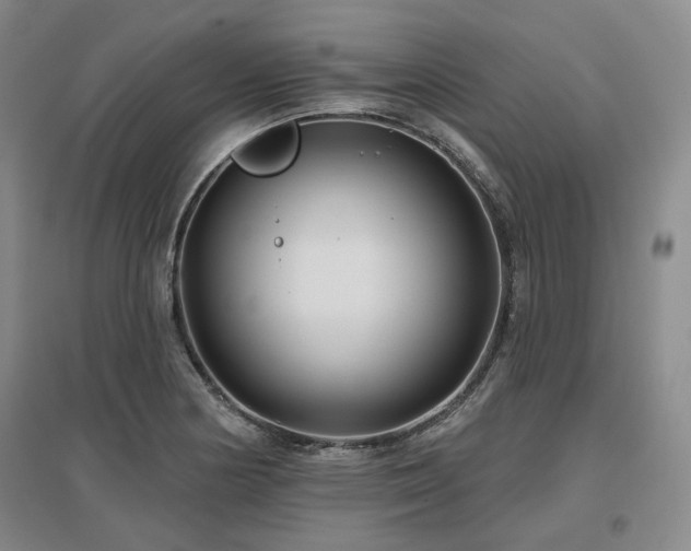 X0000097471178200802221229
