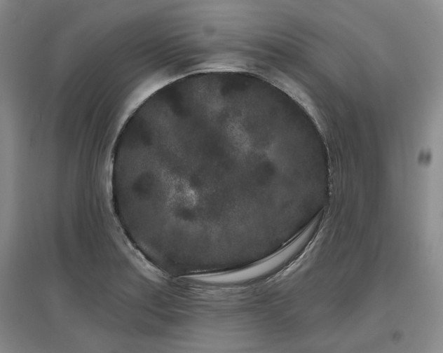 X0000097471179200802221229