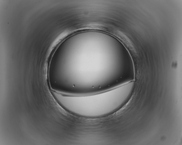 X0000097471180200802221229