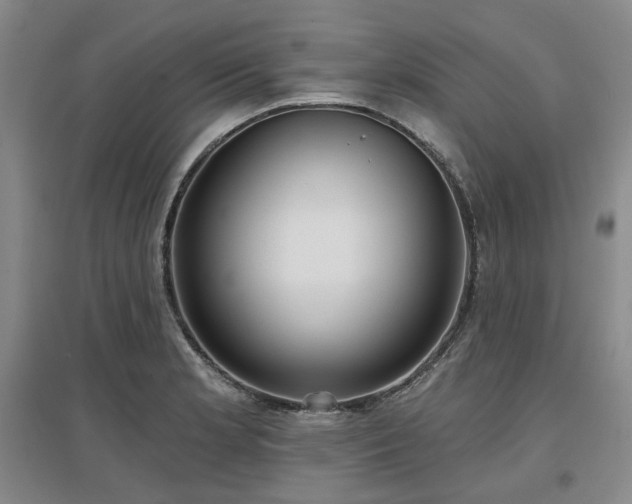X0000097471181200802221229