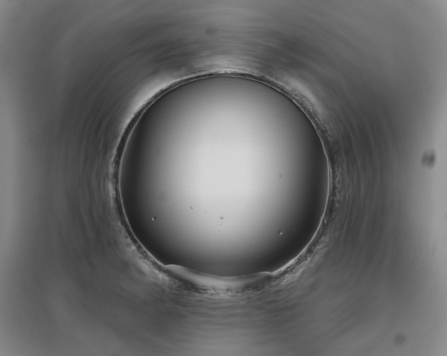 X0000097471182200802221229