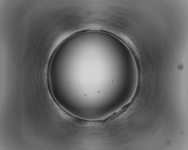 X0000097471183200802221229