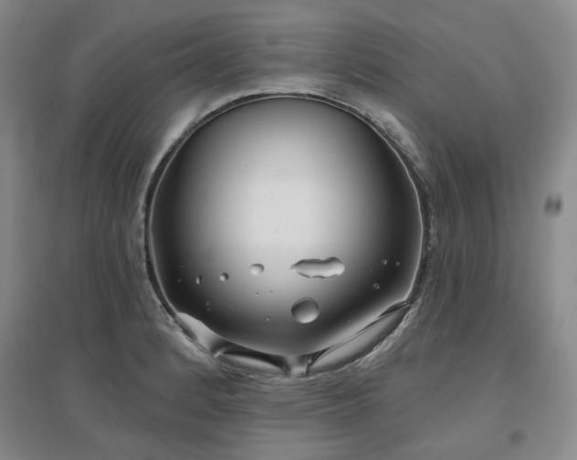 X0000097471184200802221229