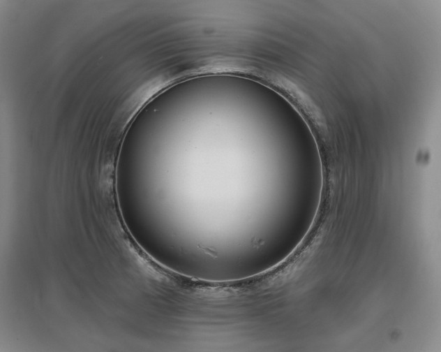 X0000097471185200802221229