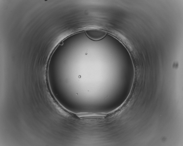X0000097471186200802221229