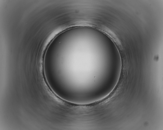 X0000097471188200802221229