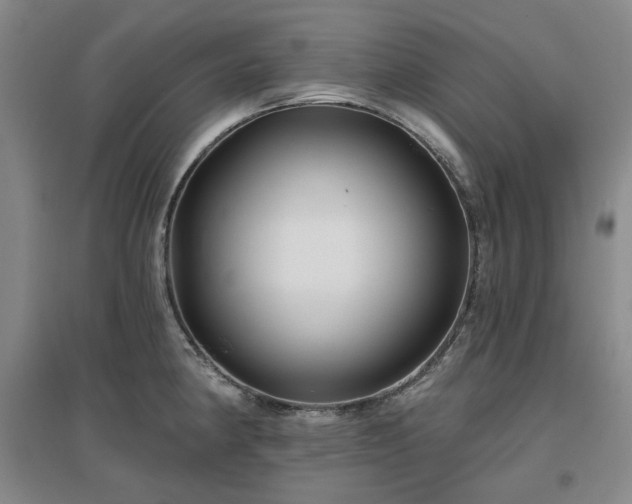 X0000097471190200802221229