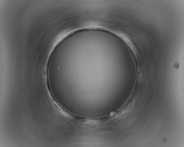 X0000097471191200802221229