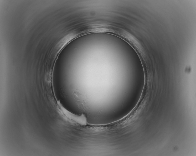 X0000097471193200802221229