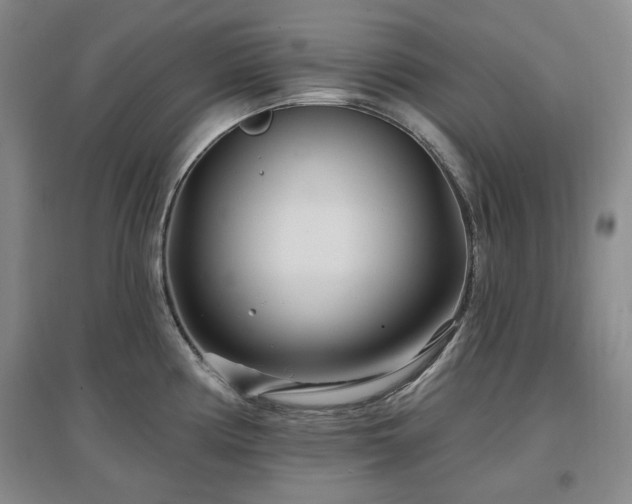 X0000097471194200802221229