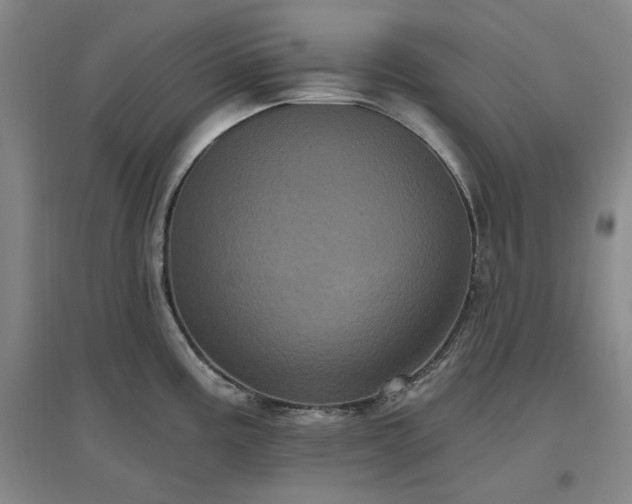 X0000097471195200802221229