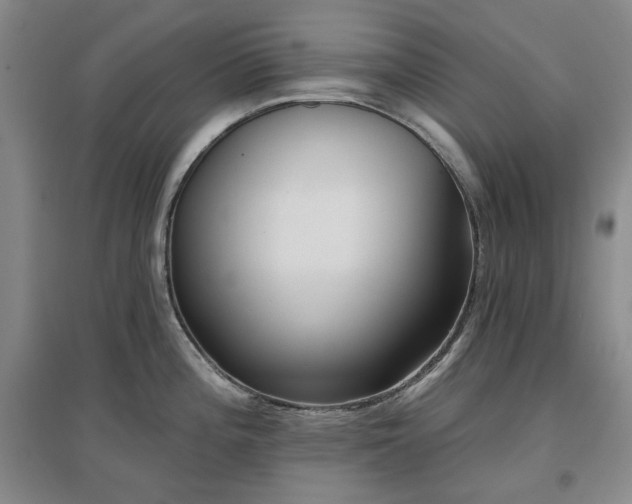 X0000097471196200802221229