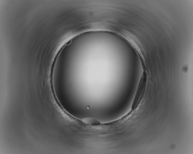 X0000097471197200802221229