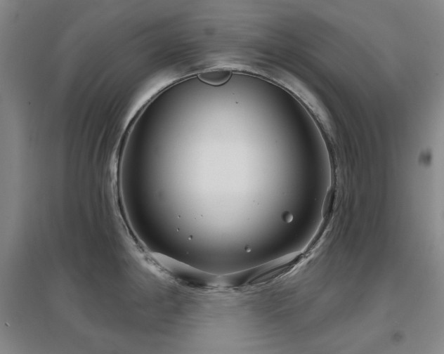 X0000097471198200802221229
