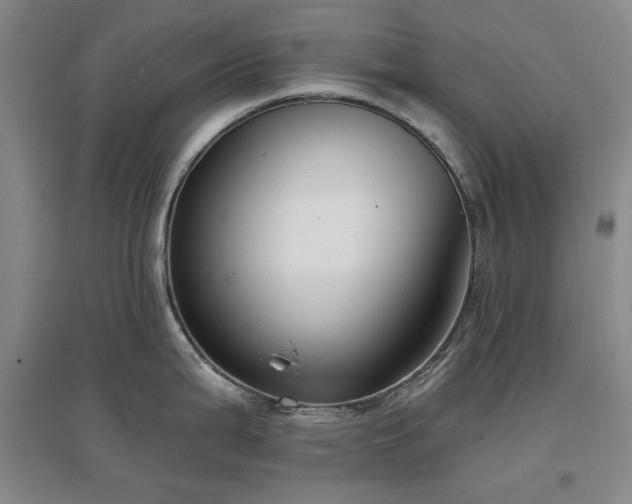 X0000097471199200802221229